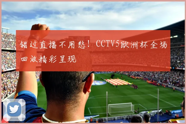 错过直播不用愁！CCTV5欧洲杯全场回放精彩呈现