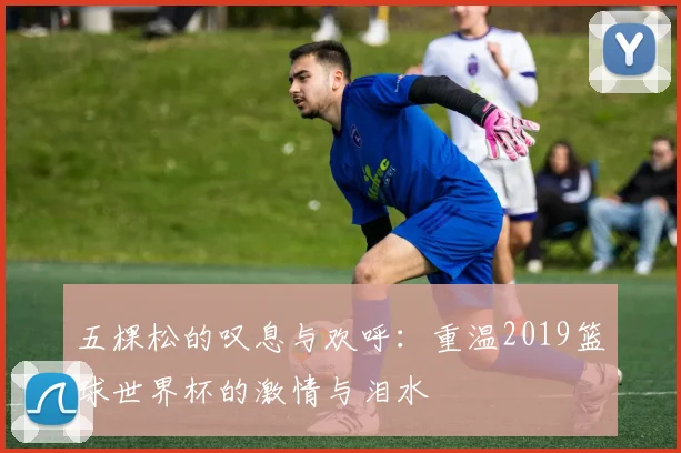 五棵松的叹息与欢呼:重温2019篮球世界杯的激情与泪水