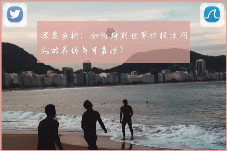 深度分析：如何辨别世界杯投注网站的真伪与可靠性？