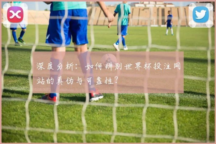 深度分析：如何辨别世界杯投注网站的真伪与可靠性？