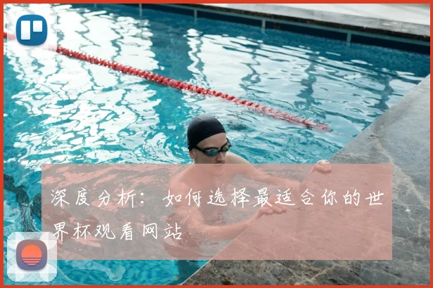 深度分析：如何选择最适合你的世界杯观看网站