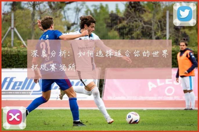 深度分析：如何选择适合你的世界杯观赛场所