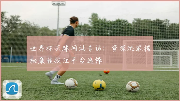 世界杯买球网站专访:资深玩家揭秘最佳投注平台选择
