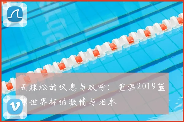 五棵松的叹息与欢呼:重温2019篮球世界杯的激情与泪水