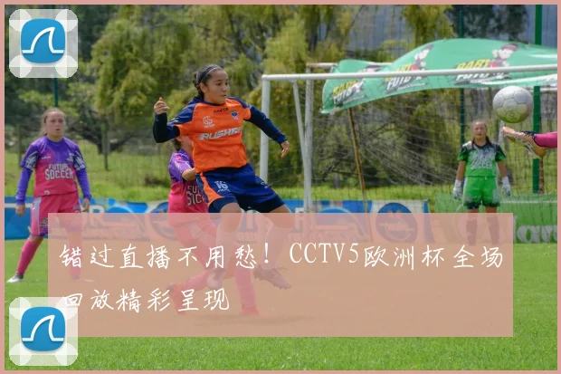 错过直播不用愁！CCTV5欧洲杯全场回放精彩呈现